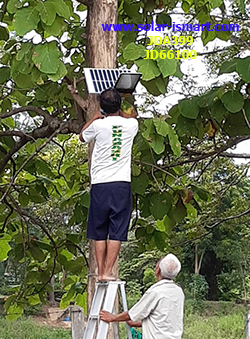 คลิ๊กดูรายละเอียดสินค้าไฟถนนโซล่าเซลล์ รุ่น JD-66100 ขนาด 100w jd66100